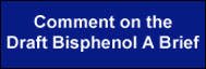 Comment on the Draft Bisphenol A Brief