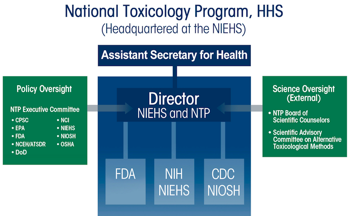 NTP Structure