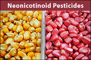 Neonicotinoid Pesticides Adverse Health Outcomes