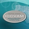 ICCVAM logo on turquoise background