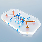Generic organ-on-a-chip