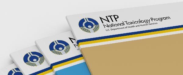 stack of NTP reports