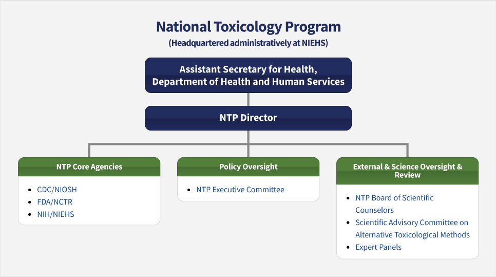 NTP organizational chart
