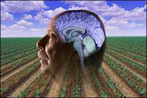 Image of exposed brain with a open field in the background