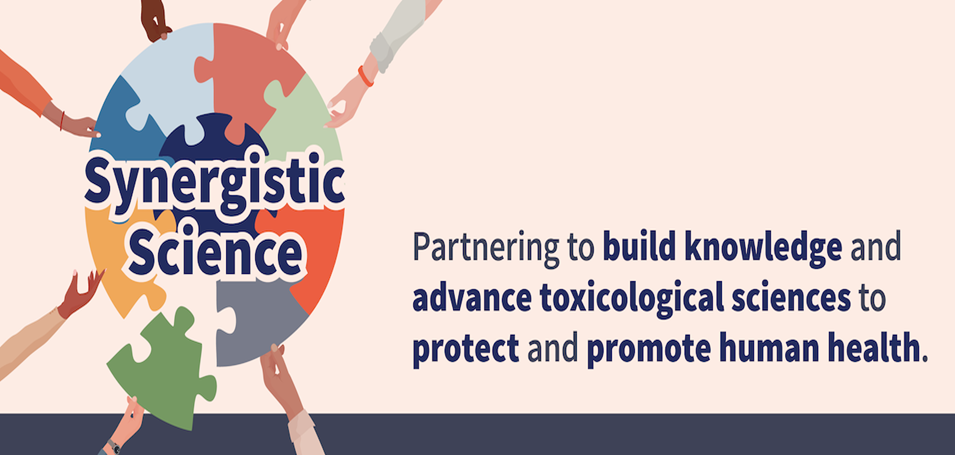 Synergistic Science puzzle pieces