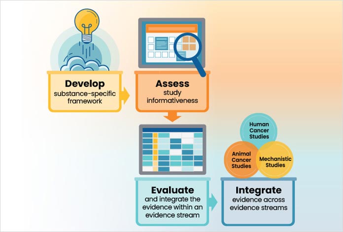 Report on Carcinogens Handbook infographic with all steps of the cancer hazard evaluation process