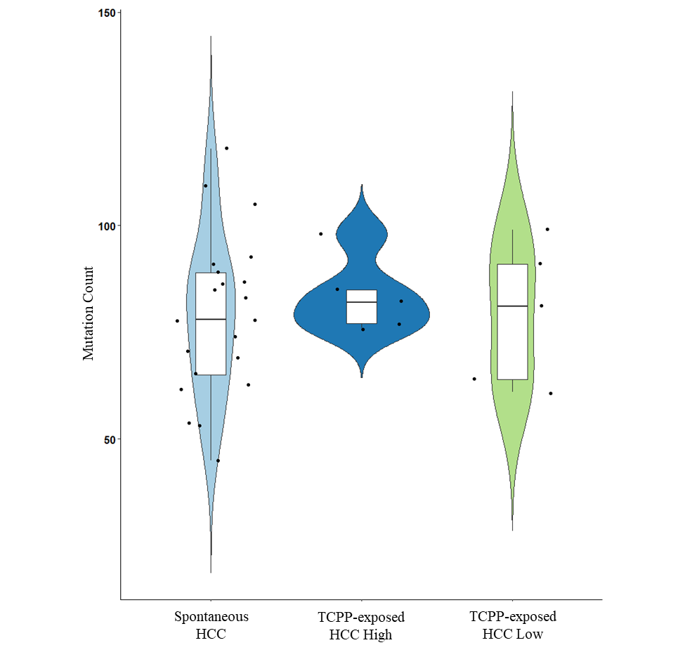 Figure G-1. Mutation Burden of Hepatocellular Carcinomas in B6C3F1/N Male Mice Arising Spontaneously or Following Chronic (Two-year) Exposure to Tris(chloropropyl) Phosphate