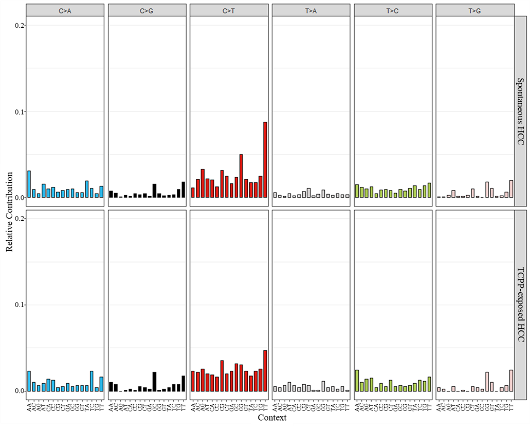 Figure G-2. Mutational Spectra of Hepatocellular Carcinomas in B6C3F1/N Male Mice Arising Spontaneously or Following Chronic (Two-year) Exposure to Tris(chloropropyl) Phosphate