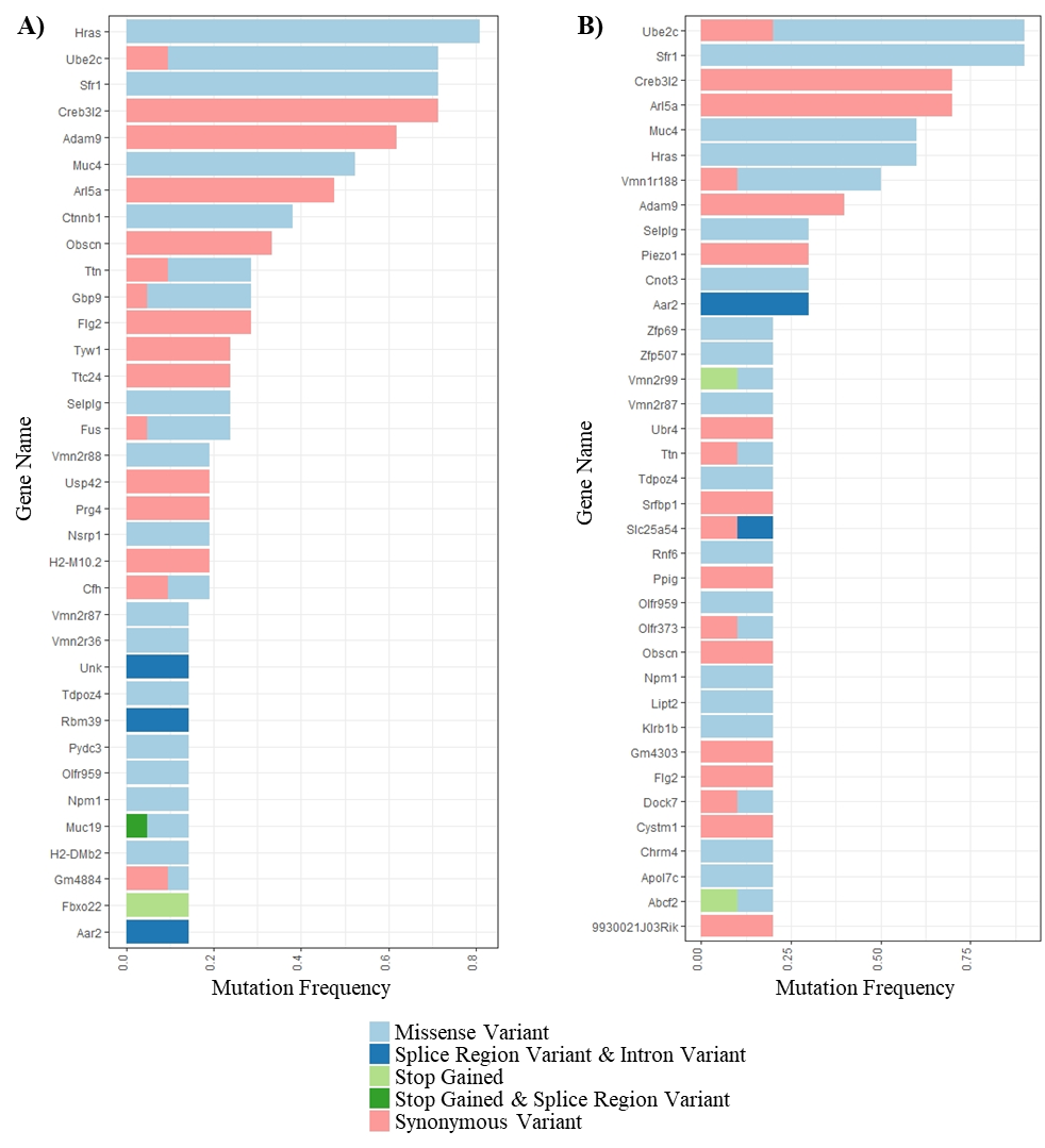 Figure G-3. Most Frequently Mutated Genes in Hepatocellular Carcinomas in B6C3F1/N Male Mice