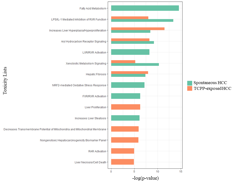 Figure G-5. Top 10 Tox Lists Derived from Ingenuity Pathway Analysis of Hepatocellular Carcinomas in B6C3F1/N Male Mice Arising Spontaneously or Following Chronic (Two-year) Exposure to Tris(chloropropyl) Phosphate