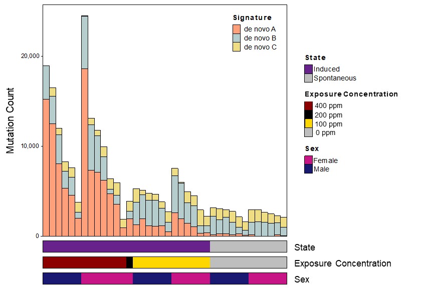 Figure E-3. Mutation Burden of Hepatocellular Carcinomas in B6C3F1/N Mice Arising Spontaneously or Following Chronic (Two-year) Inhalation Exposure to α-Pinene