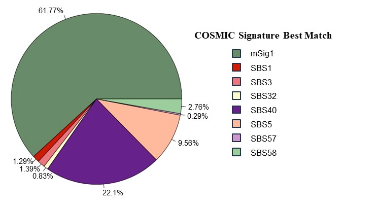 Figure E-4. Proportion of COSMIC Signatures Decomposed from the de novo Signatures of Hepatocellular Carcinomas in B6C3F1/N Mice Arising Spontaneously or Following Chronic (Two-year) Inhalation Exposure to α-Pinene