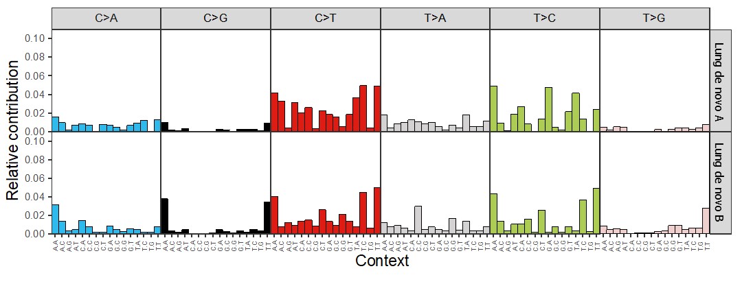 Figure E-5. De novo Mutational Spectra of Alveolar/Bronchiolar Carcinomas in B6C3F1/N Mice Arising Spontaneously or Following Chronic (Two-year) Inhalation Exposure to α-Pinene
