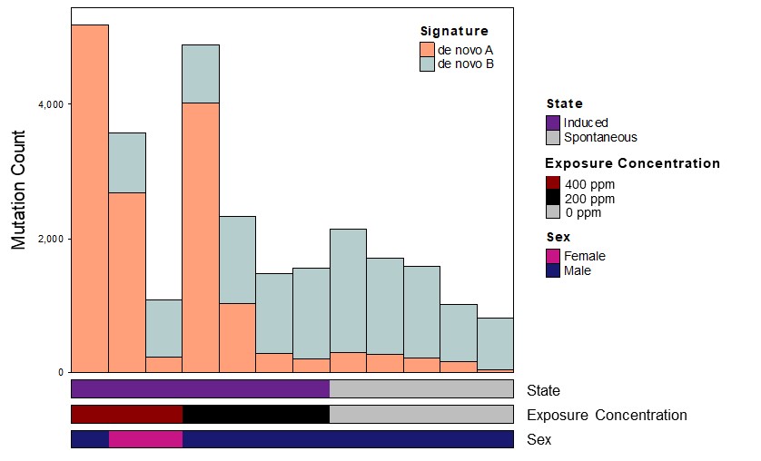 Figure E-6. Mutation Burden of Alveolar/Bronchiolar Carcinomas in B6C3F1/N Mice Arising Spontaneously or Following Chronic (Two-year) Inhalation Exposure to α-Pinene