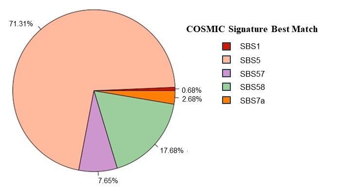 Figure E-7. Proportion of COSMIC Signatures Decomposed from the de novo Signatures of Alveolar/Bronchiolar Carcinomas in B6C3F1/N Mice Arising Spontaneously or Following Chronic (Two-year) Inhalation Exposure to α-Pinene