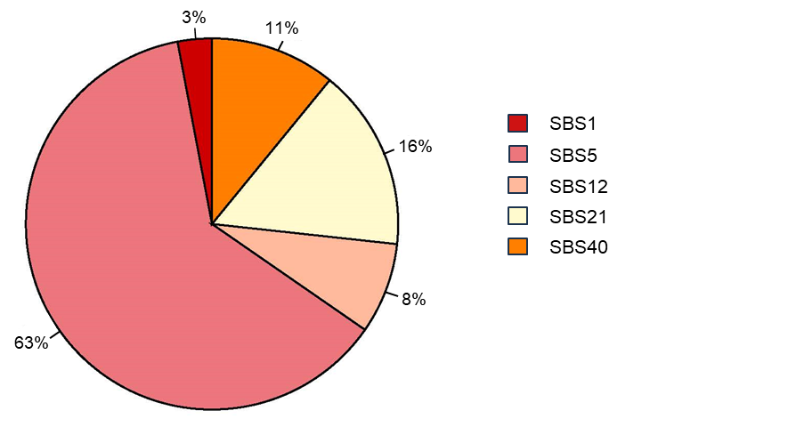 Figure E-10. Proportion of COSMIC Signatures Decomposed from the de novo Signatures of Mammary Tumors in Sprague Dawley Rats Arising Spontaneously or Following Chronic (Two-year) Inhalation Exposure to α-Pinene