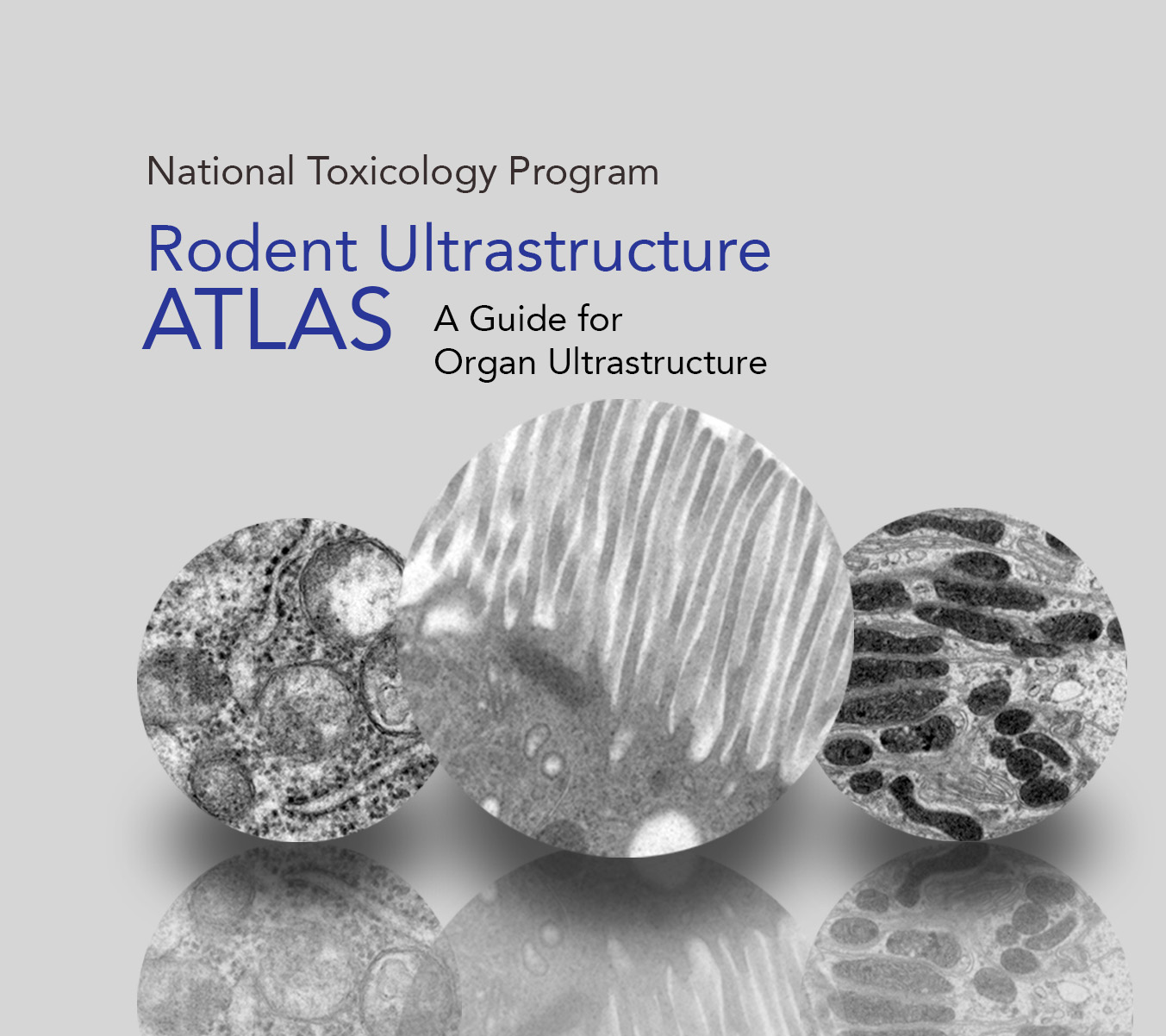 NTP Rodent Ultrastructure Atlas - A guide for organ ultrastructure